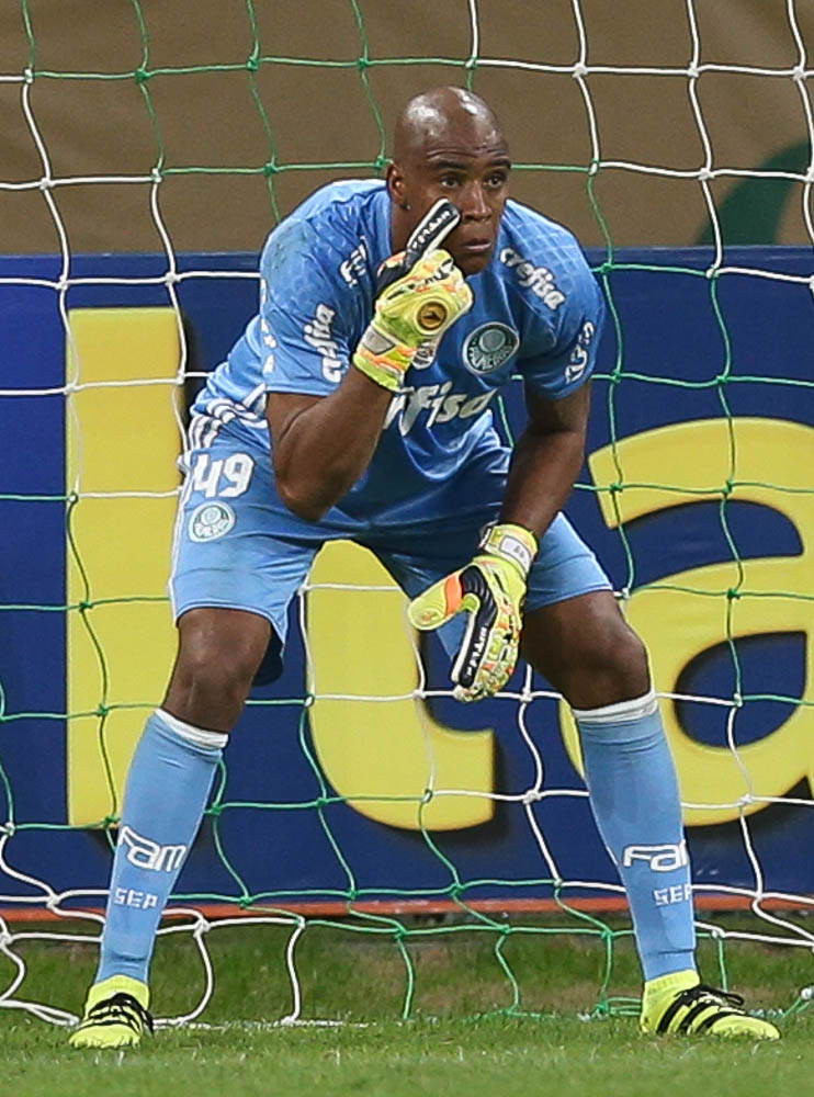 Cesar Greco/Ag.Palmeiras/Divulgação_Experiente goleiro Jailson foi titular diante do Vitória