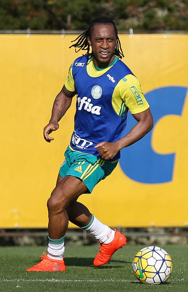 Cesar Greco/Ag.Palmeiras/Divulgação_Arouca voltou a jogar contra o Fluminense