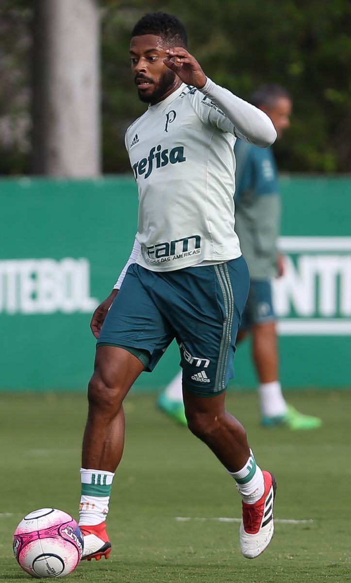 Cesar Greco/Ag Palmeiras/Divulgação_Nesta quinta-feira (22), Michel Bastos voltou a treinar com o grupo após lesão sofrida