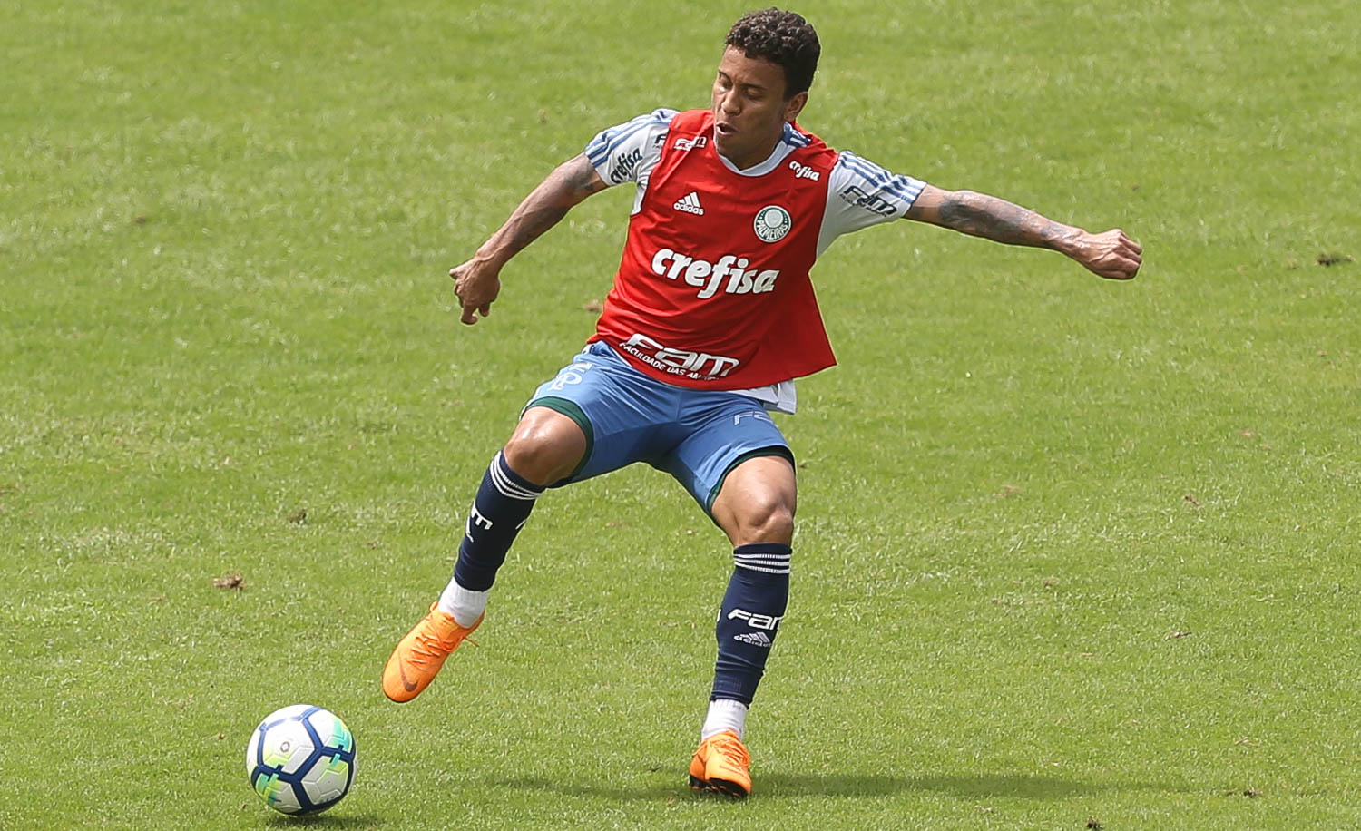 Cesar Greco/Ag. Palmeiras/Divulgação_Marcos Rocha lidera em cruzamentos e em partidas disputadas no Brasileirão 2018