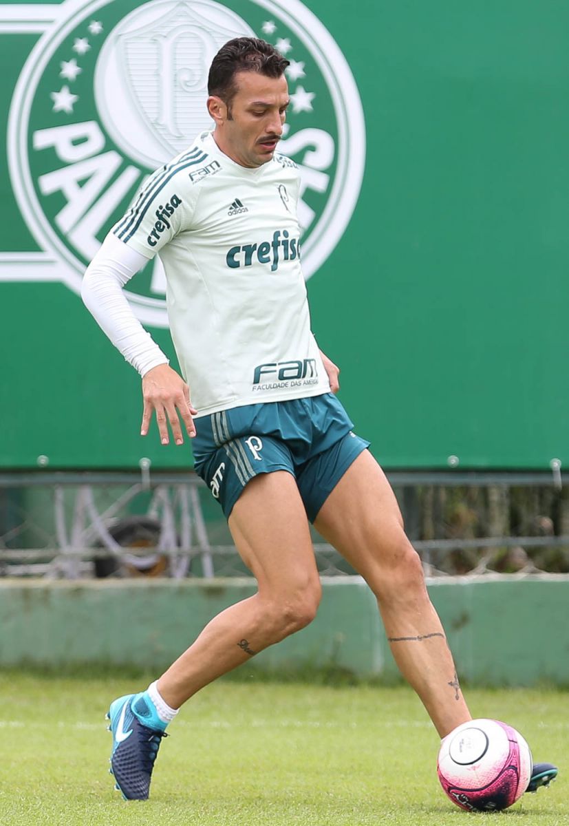 Fabio Menotti/Ag Palmeiras/Divulgação_Dracena seguiu um cronograma especial e voltou aos treinos