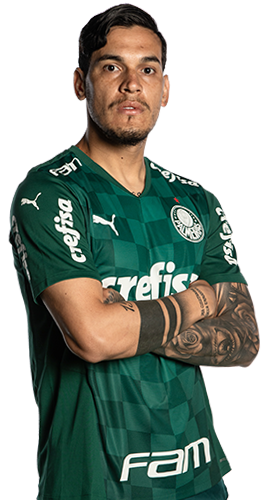Gustavo Raúl Gómez Portillo