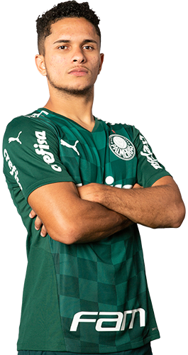 Gabriel Silva Vieira