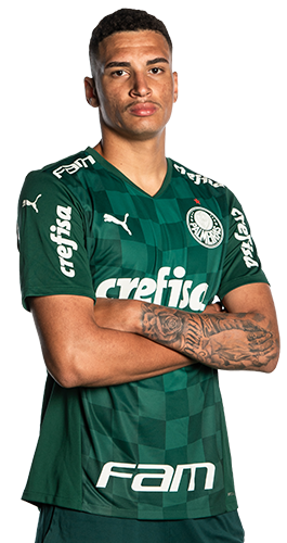 Henri Marinho dos Santos