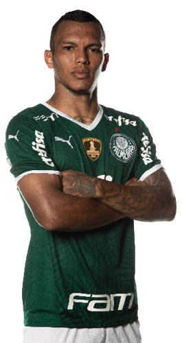 Gabriel Veron Fonseca de Souza