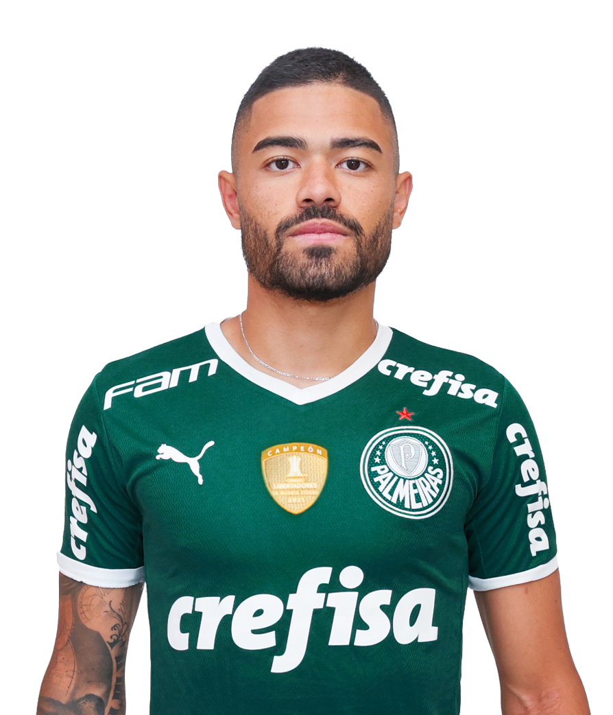 Futebol Profissional Palmeiras