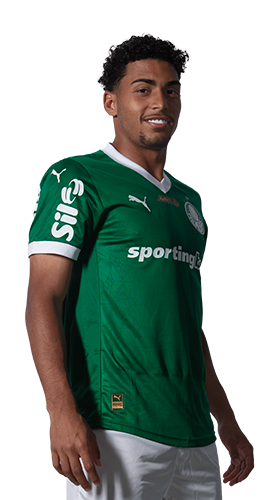 Luighi Hanri Sousa Santos